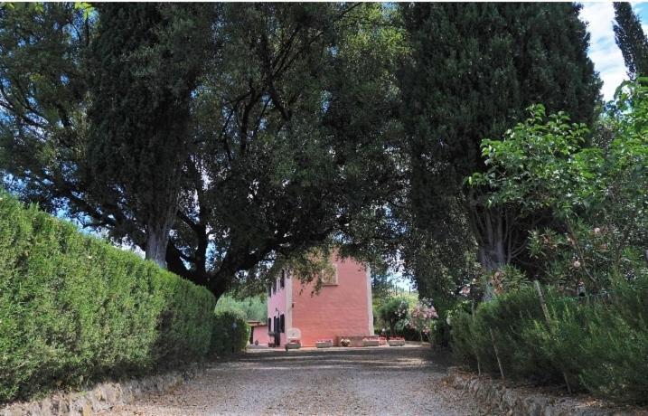 Podere Il Leccione Palaia Exterior foto